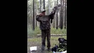 охота на глухаря