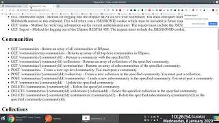 Using DSpace 6.3 REST API to Create Items in an Existing Collection