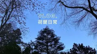 荷蘭日常Vlog｜買荷蘭小點心、出門散步