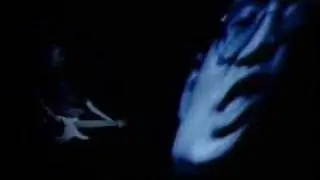 Seam "Bunch" ‌‌ - Bohemia Afterdark