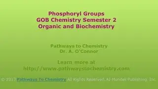 Phosphoryl Groups