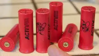 Personal Notes On Activ Shotshells - Coffee Chat