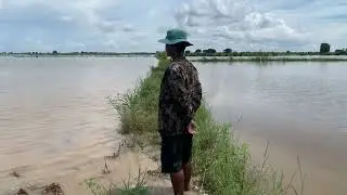 ស្រូវលិចទឹកទន្លេ