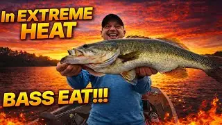 How To Catch GIANTS in the Toughest Time of Year!!