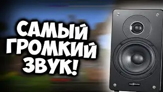САМЫЙ ГРОМКИЙ ЗВУК В МИРЕ!