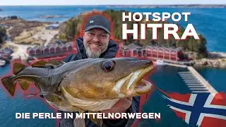 Angeln in Norwegen: Hitra - Kvenvær und Grefsnesvågen - Angeln auf Pollack, Köhler, Leng und Dorsch
