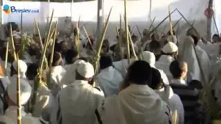 Суккот -- праздник радости