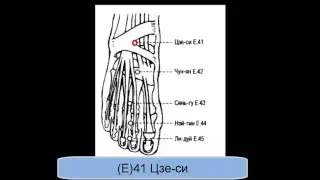 E41 Цзе-си