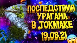 Последствия урагана в Токмаке 19.08.21. Поваленные деревья и порванные провода. Катаклизмы