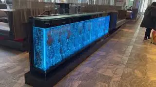 Bubble Walls for W Hotel in Boston, Massachusetts