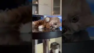 Уррр я балдею 