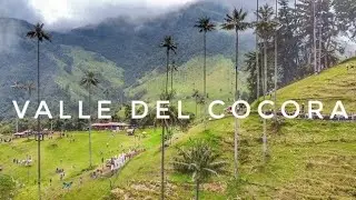 Valle Del Cocora🌴 Colombia