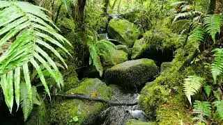 Relaxing Water Sounds For Stress Relief - Peaceful Music For Sleep, Meditation Music,Waterfall video