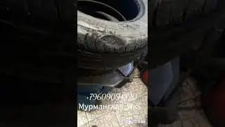 чья-та  клумба!!!мурманская 54к5 тел.+79609094820