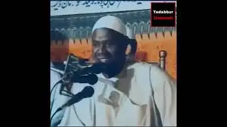 দেখুন আল্লাহ বিশ্ব নবী কে কতটা ভালোবাসেন। প্রিয় নবী হযরত মুহাম্মদ সাল্লাল্লাহু আলাইহি ওয়াসাল্লাম।