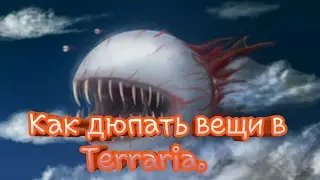 Как дюпать вещи в Terraria.