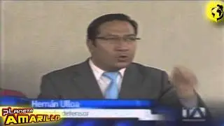 Lagartija saldra en libertad
