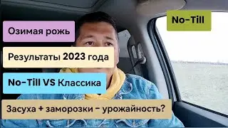Итоги 2023 года. Всходы озимых. No-Till и классика - результаты сравнения в засуху.
