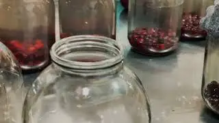TuzlamaUz 𝐎𝐊" 𝐒𝐀𝐋𝐓𝐘 𝐇𝐎𝐔𝐒𝐄 𝐁𝐈𝐙𝐍𝐄𝐒Консервация фруктов и овощей НАБЕРЕЖНАЯ