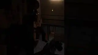 Baiting with a laser | Ghost of Tabor