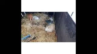 Продолжение -17---А  МЫ РОЖДАЕМСЯ!!