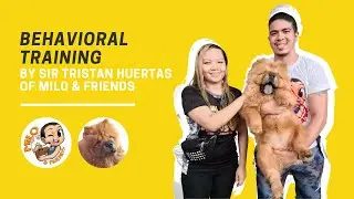 Dog Training with Trainor Tristan Huertas of Milo & Friends #Homeservice #dogtraining