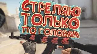 Стреляю только по Головам - CS:GO