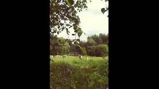 Моменты лета 1\ Moments of summer 1