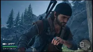 days gone 5
