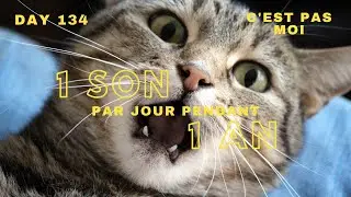 C'est pas moi - 1 son par jour pendant 1 an - Day 134 – INSTRU CARIBBEAN PROD by VENSY RECORD