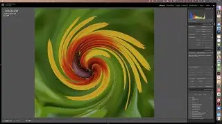 Topaz Swirls -  Bob Legg