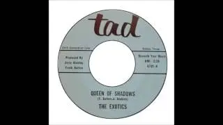 Exotics - Queen Of Shadows