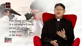 The Word Exposed - Catechism (The New Evangelization)