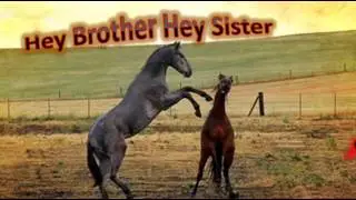 Hey Brother - Avicii (Diego Flex Remix Edit)