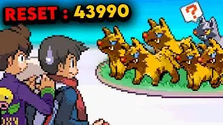 SHINY RACE CONTRE PLEIN DE STREAMER !