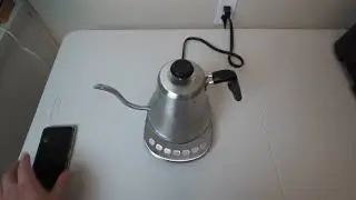 Willow & Everett Electric Gooseneck Kettle Review