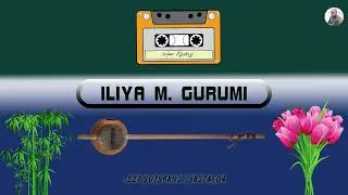 ILIYA M  GURUMI