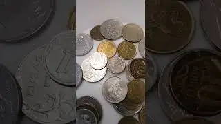 На сиськи 