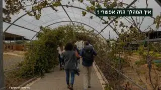 עצים נגד האש