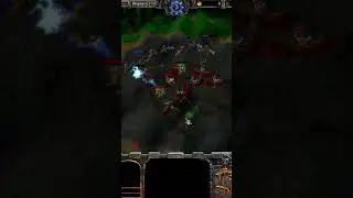 10 Грифонов vs 11 Виверн l стенка на стенку Warcraft 3 Reforged