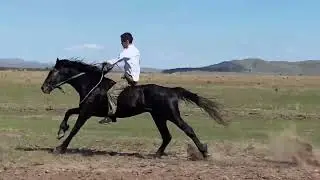 Скачки Верх Аскиз 1.06.2024