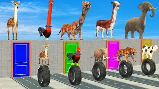 Cow Elephant Tiger Chicken Guess The Right Door ESCAPE ROOM CHALLENGE LONG NECK RUN Animals Tire Gam
