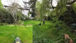 Lawn Mowing
