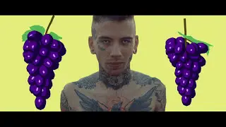 KAKTOV - KONGO (Shot by BALLVE)