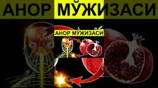 АНОР ВА СУВЛИ МЕВАЛАРНИ СУВИНИ СИҚАДИГАН АППАРАТ