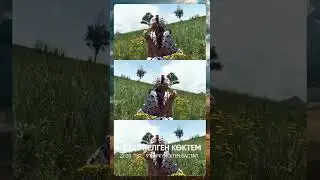 🍂 «Күзде келген көктем» драмасы / 9 қыркүйектен / 22:00