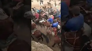 Бузкаши калонтарин дар Точикистон