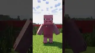 Minecraft, But The Border Is Pixels...