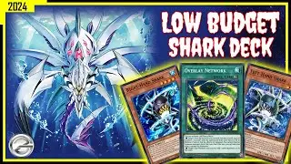 SHARK DECK LOW BUDGET VERSION | Gameplay AUGUST 2024 | Yugioh Duel Links