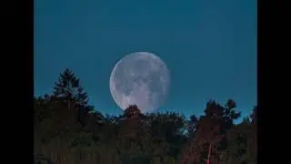 Ты у меня одна